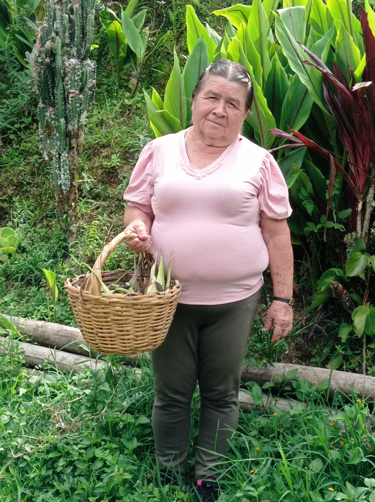 ALBA ROSA MEJIA QUINTERO