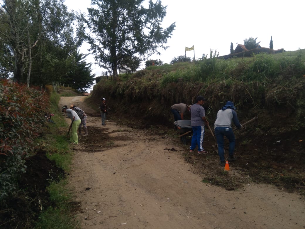 Forjando Caminos