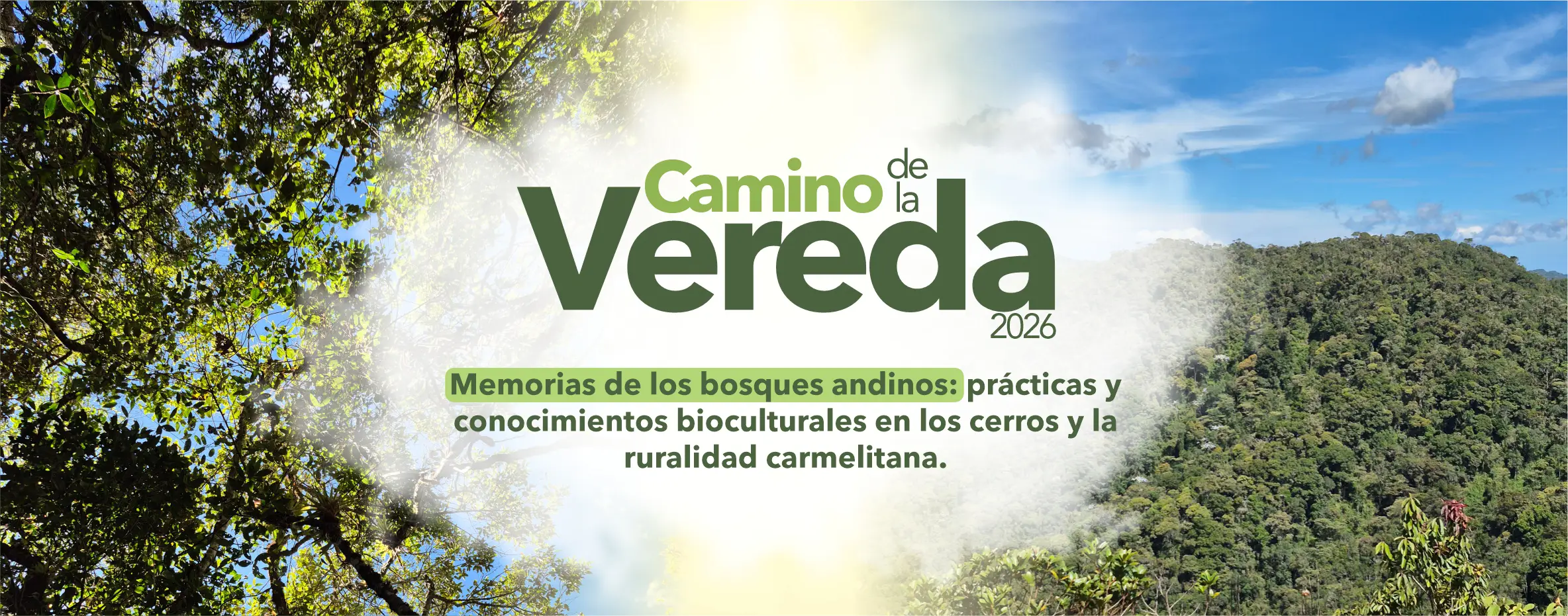 Camino de la Vereda 2026 – Memorias de los bosques andinos