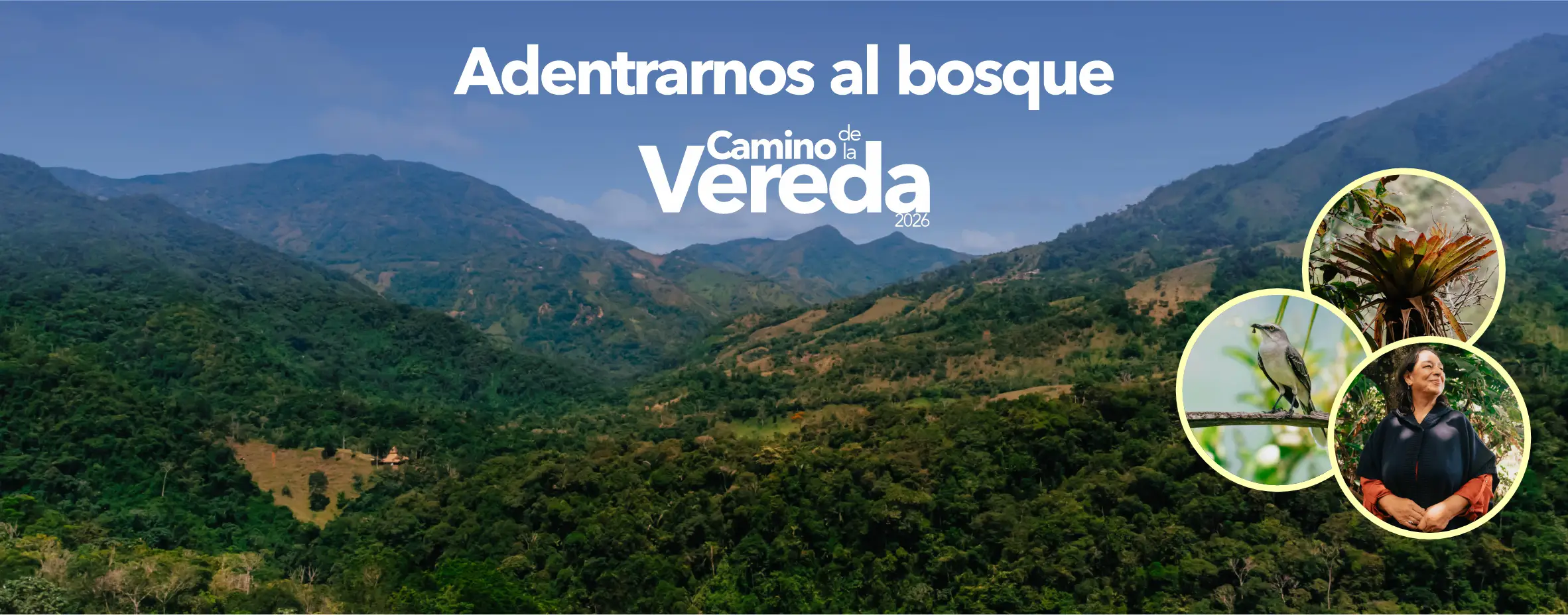 Adentrarnos al bosque: una introducción a las “Memorias de los bosques andinos”